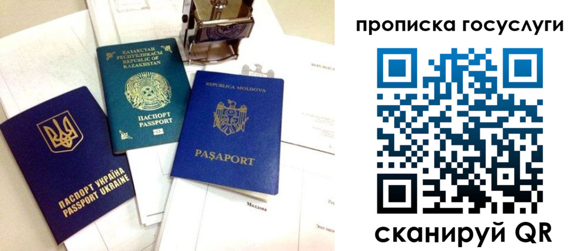 найти адрес прописки в Петропавловске-Камчатском